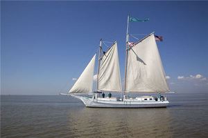 女人夢見颳好大的風