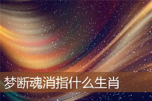 夢斷魂消指什麼生肖