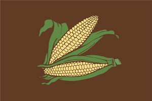 孕婦夢見玉米棒子