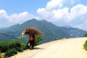 夢見背著木柴進屋