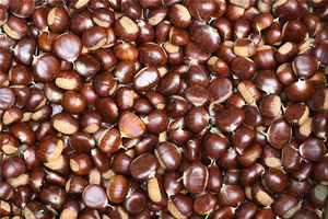 女人夢見自己撿生栗子