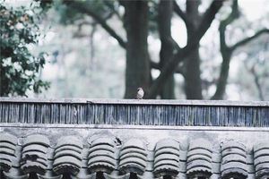 夢見新建了院牆