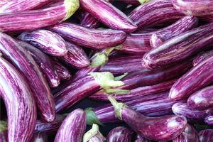 女人夢見買茄子