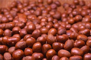 夢見板栗是什麼預兆