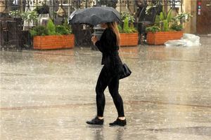 夢見一下好大雨