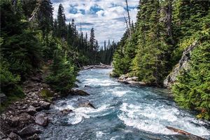 夢見湍急的河流