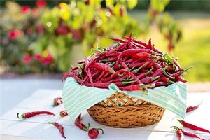 做夢夢見紅辣椒怎麼回事？