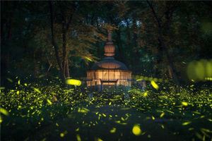 夢見古墓裡取出財寶