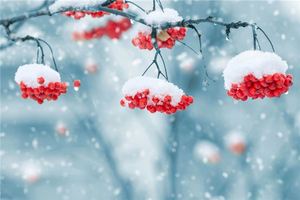 夢見下雪是要戴孝嗎