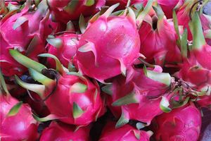 女人夢見火龍果