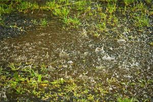 周公解夢夢見下雨