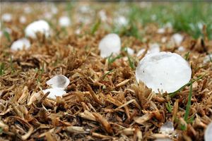 夢見一下冰雹是什麼徵兆