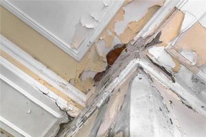 女人夢見自家屋頂漏雨