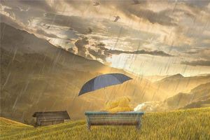 夢見太陽在雨中照耀