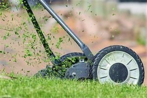 已婚女人夢見割草