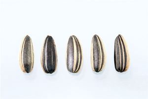 夢見吃瓜子 嗑瓜子