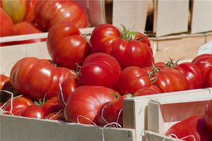 孕婦夢到番茄生男孩