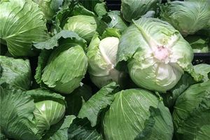 夢見成堆的大白菜