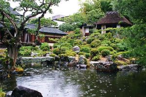 夢見一下大雨颳大風