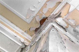 夢見新房子漏水