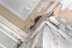 夢見下雨屋裡漏雨