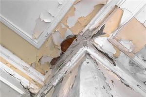 夢見天花板滴水