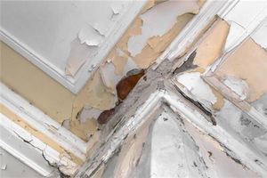 做夢屋頂漏水什麼預兆