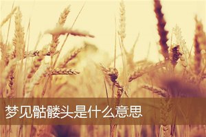 夢見骷髏頭是什麼意思