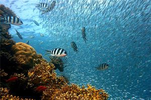 夢見墳墓在屋裡