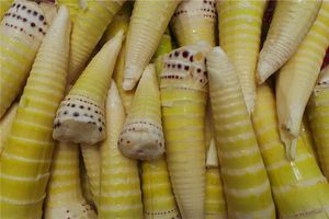 孕婦夢見筍子生女兒