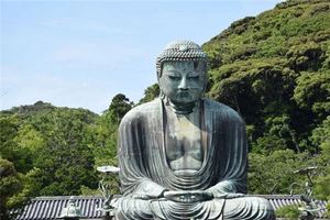 夢見大佛和山一樣高