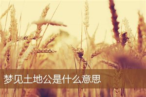 夢見土地公是什麼意思