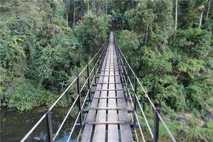 女人夢見過橋橋斷了