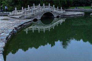 夢見水塘的水很滿