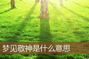夢見敬神是什麼意思
