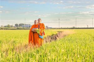 夢見宗教導師或傳教士