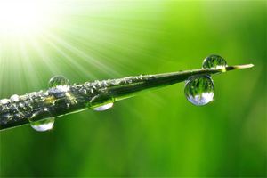 夢見手掌裡有露珠