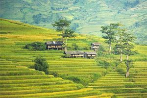 夢見走進陌生的村莊