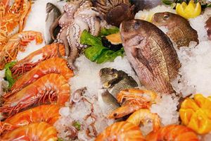 夢見魚蝦