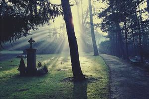 周公解夢夢見墳