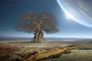 女人夢見一棵大樹