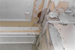 夢見自己家樓房漏水