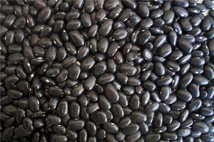 夢見黑豆預兆什麼意思