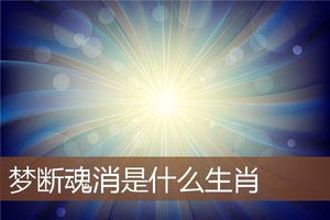 夢斷魂消是什麼生肖