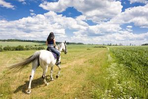 夢見騎著馬奔跑