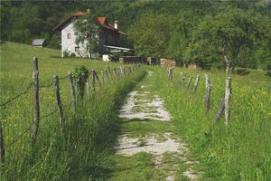 夢見院子裡有坑