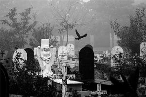 女人夢見墳墓有預兆