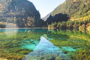 女人做夢夢見水很清澈