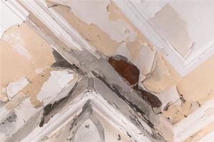 夢到屋裡漏雨什麼意思