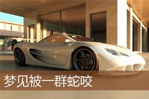 夢見被一群蛇咬